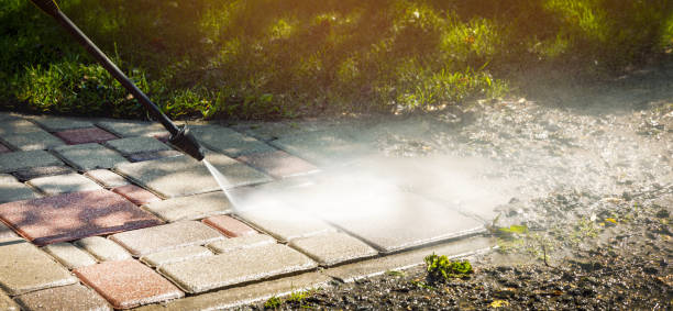 Best Patio and Deck Pressure Washing  in Brillion, WI