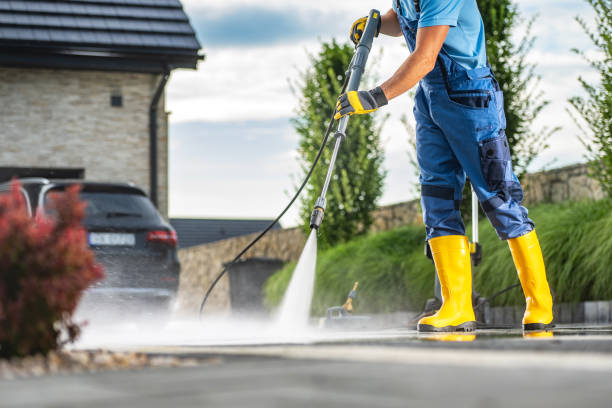 Best Solar Panel Cleaning  in Brillion, WI